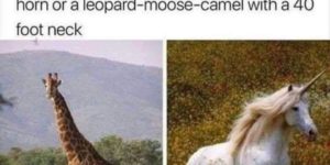 a horse with a horn or a leopard moose camel, what’s more realistic?