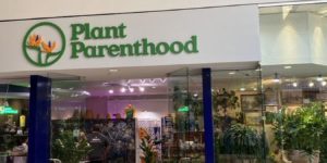 plant+parenthood