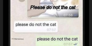 please do not the cat