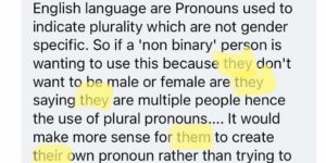 pronoun usage – you somehow explained it to yourself while also missing the point entirely