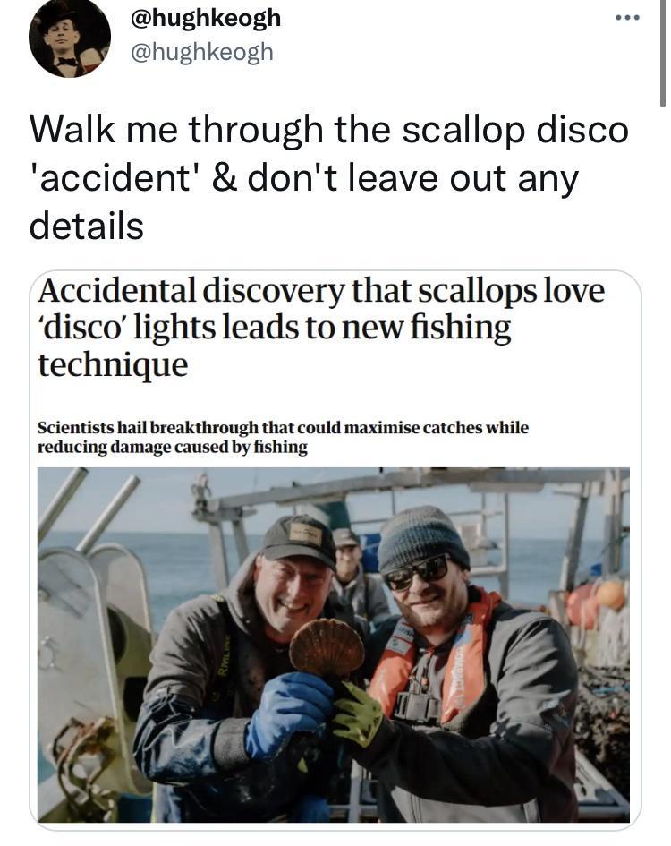 scallops love disco lights