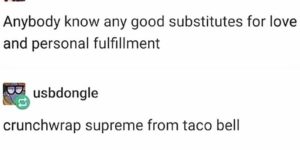 there is no better way to fill the void of existence than with a crunchwrap supreme from taco bell