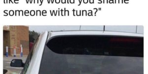 spicy tuna shamed cut roll
