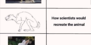 what the animal looks like vs what scientists think the animal looks like