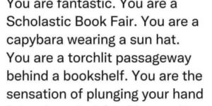 you are a scholastic book fair
