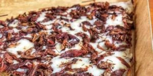 cricket pizza. would you take a bite?