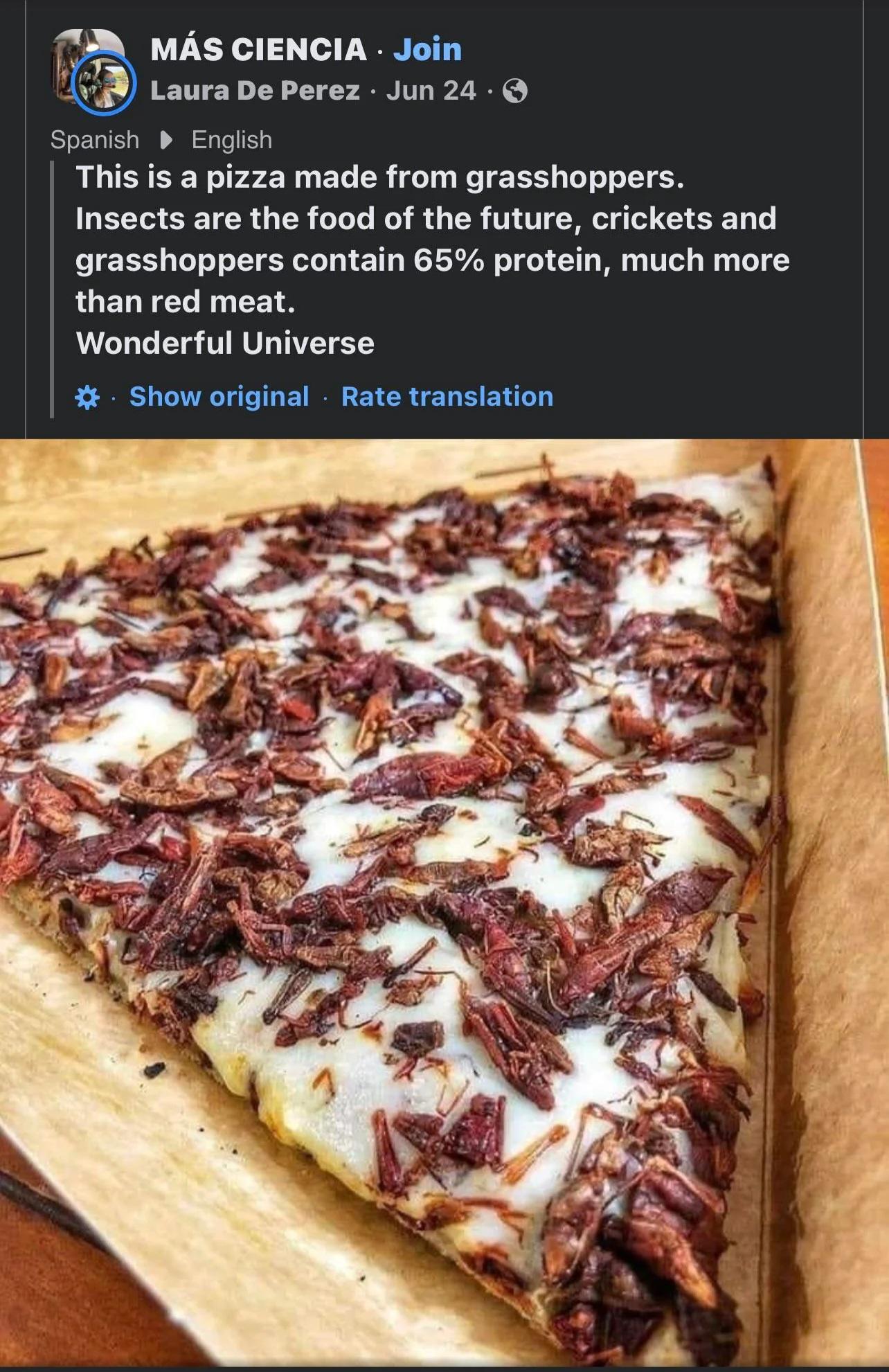 pizza with crickets as the topping