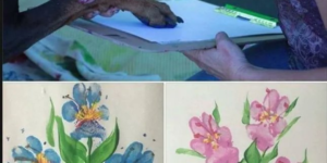 Really+cool+dog+flower+art