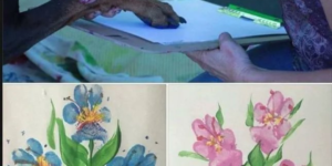 Really cool dog flower art