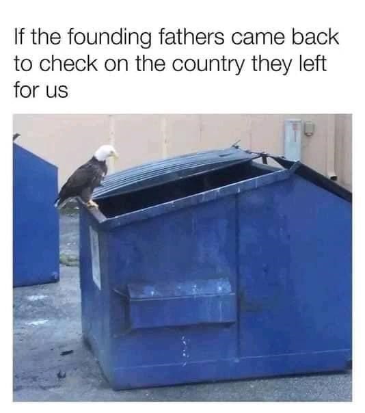 bald eagle perched on a dumpster