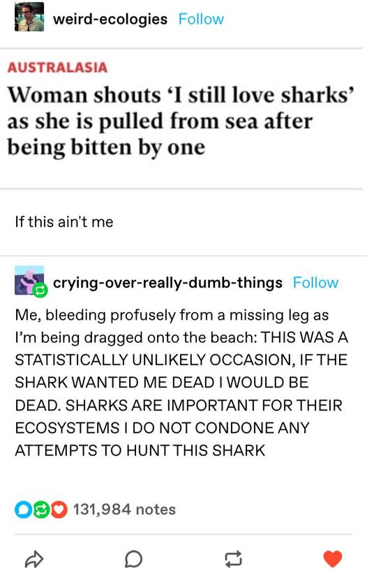 comment on woman being bitten by shark and not blaming the shark for biting her
