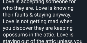 love is being okay with your partner hiding opossums in the attic