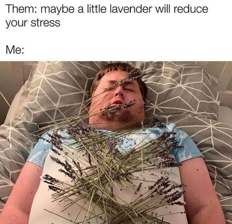person sleeping under lavender
