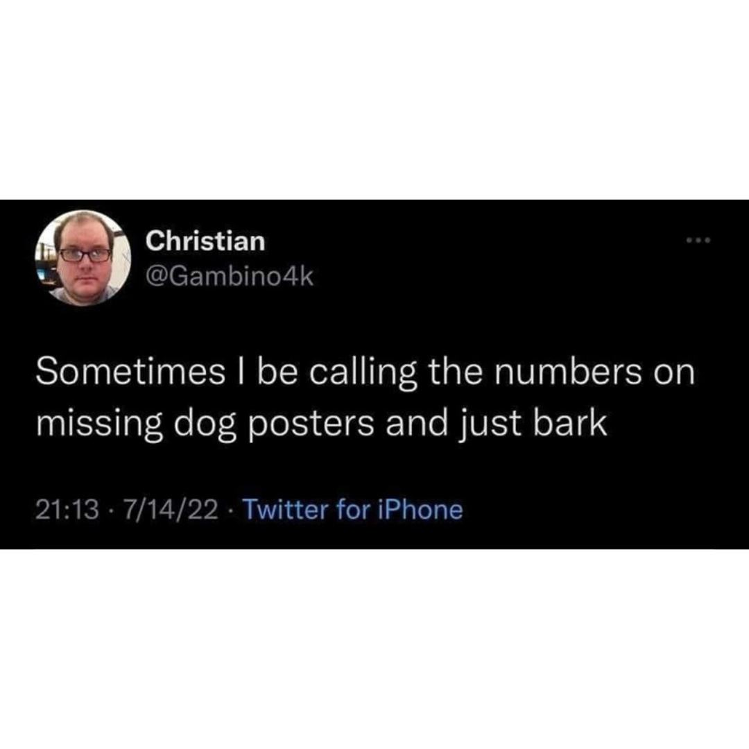 tweet about calling the number on missing dog posters just to bark