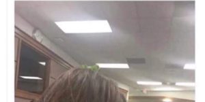 was the lettuce on her head a gift from her boyfriend?