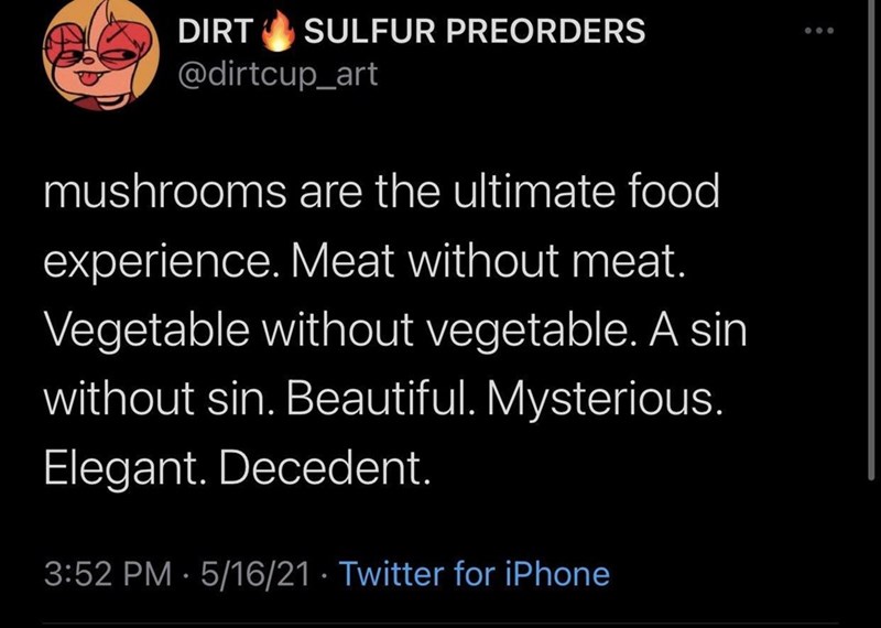 a tweet about how amazing mushrooms are