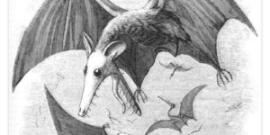 That’s a tim burton pterosaur if i ever saw one