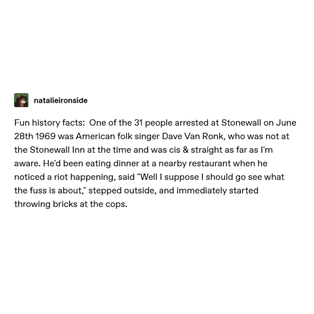 blurb about country singer dave van ronk getting arrested at stonewall in 1969