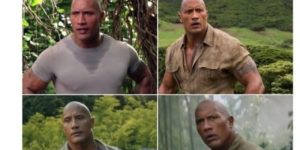 can you name all 4 movies in the collage that feature the rock in the jungle?