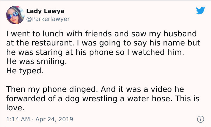 tweet about sending funny dog videos to wife during lunch