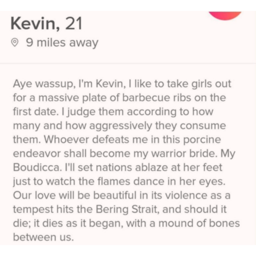 an interesting tinder profile