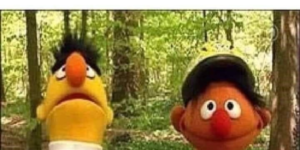 bert can see everything