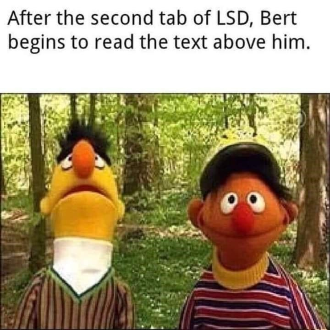 a meme about bert and ernie