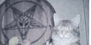 the devil’s cat