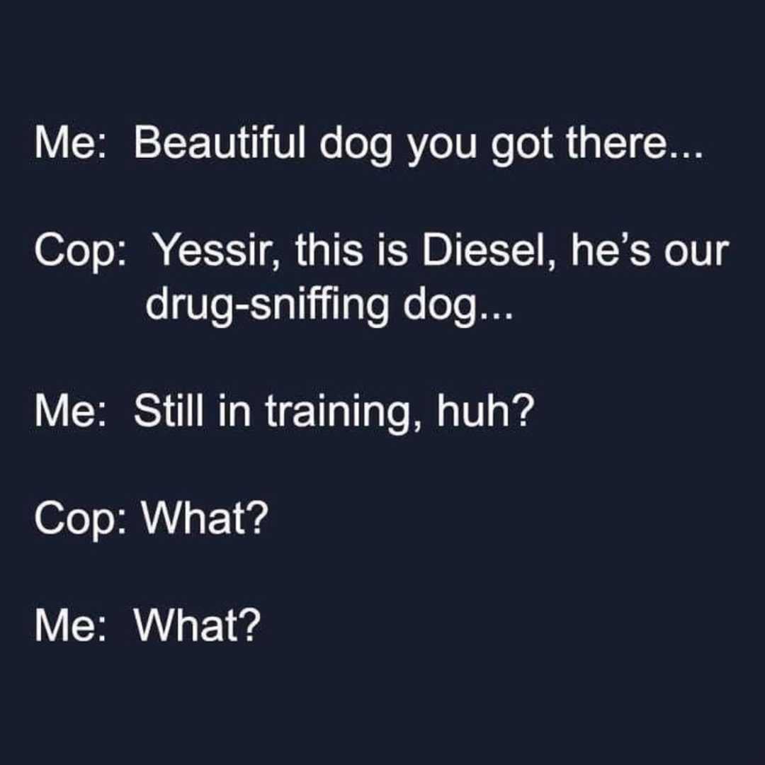 drug-dog-in-training-meme-60598.png