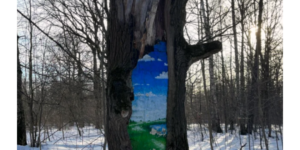 hidden world inside a tree