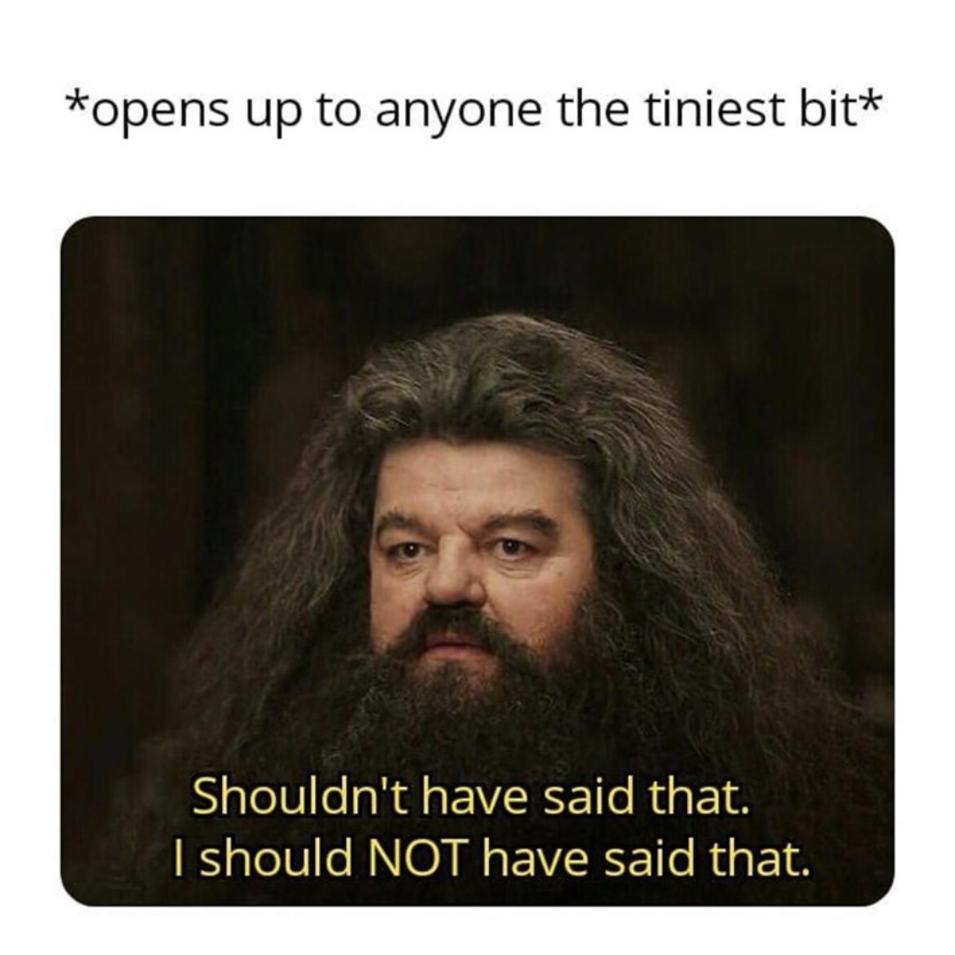 hagrid should not have said that meme