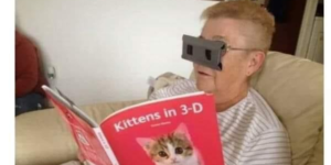 kittens in 3-d