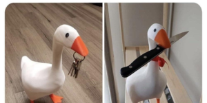i need a magnetic goose