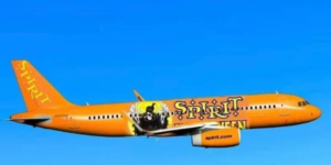 spirit airlines – fly cheap and buy your halloween costume at the same time. This is just smart business