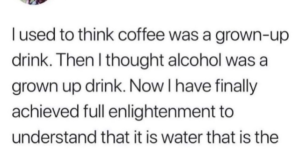water is the best grown up drink
