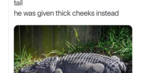 thicc cheeks
