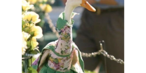 Australia has a duck fashion show and you have to see these elegant fowls
