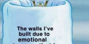 emotional support walls