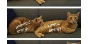 how energy works as explained by cats