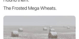 frosted+mega+wheats