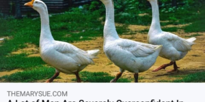 i think i could at least handle one goose. probably not more