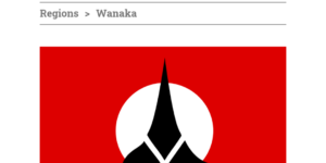 Racist flag actually a klingon insignia