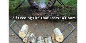 self feeding fire