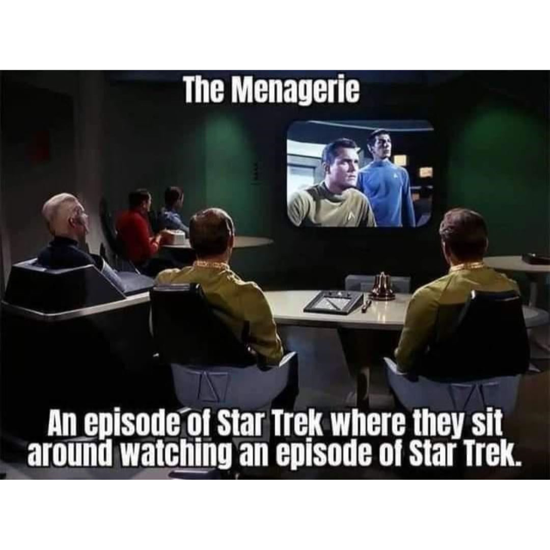 Engaging Star trek memes to beam you up with nostalgia