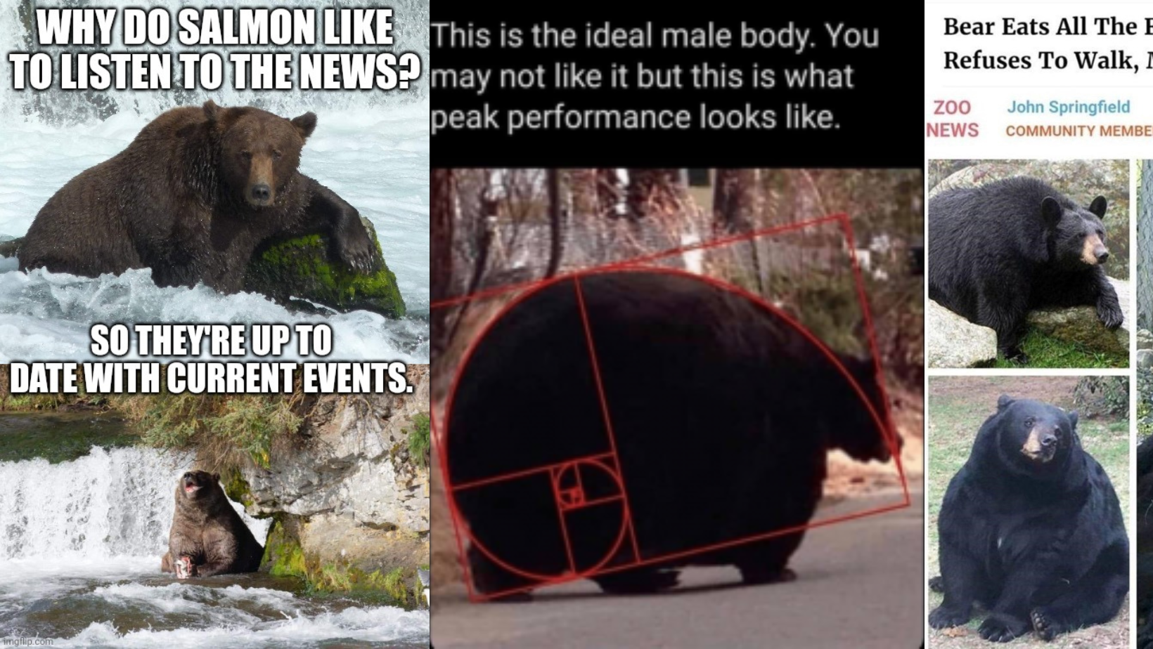 fat-bear-week-memes-that-bring-the-time-wasting-chonk