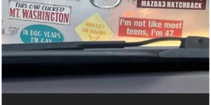 an interesting selection of bumper stickers