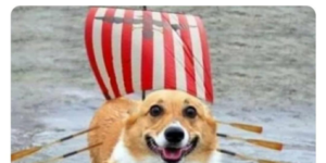 corgi ship