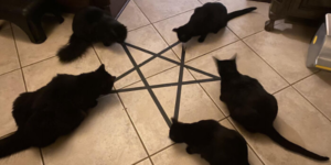 what are they summoning?