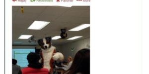 your lab instructor is a furry