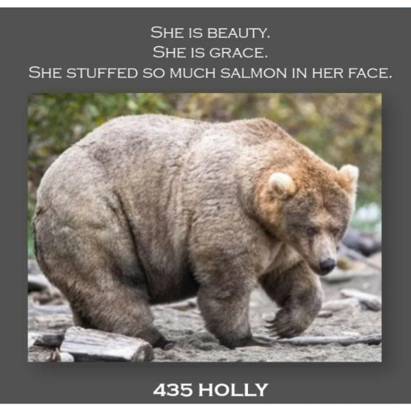 Fat Bear Week Memes That Bring The Time Wasting Chonk fat-bear-week-memes-that-bring-the-time-wasting-chonk